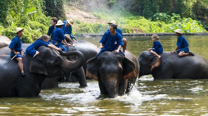 ศูนย์อนุรักษ์ช้างไทย ลำปาง